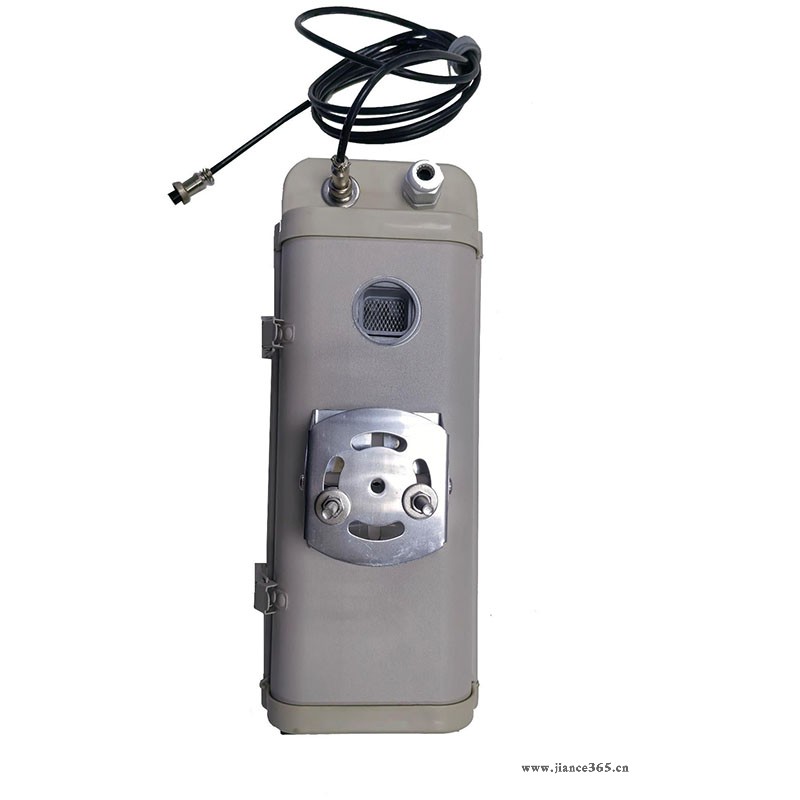C1101型正负离子传感器